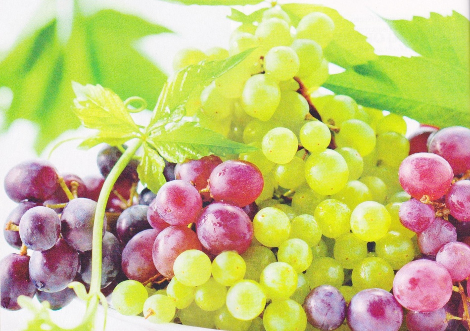 Виноград полезен при беременности