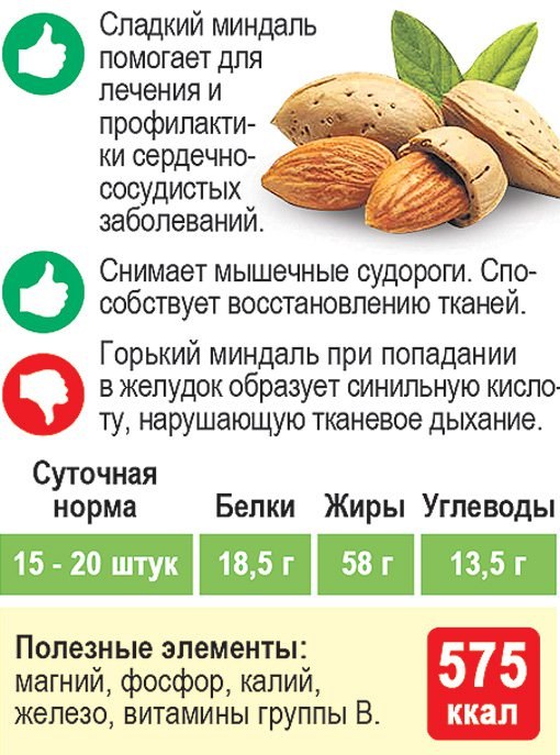 Миндаль: полезные свойства, вред и суточная норма потребления орехов, показания и противопоказания, калорийность