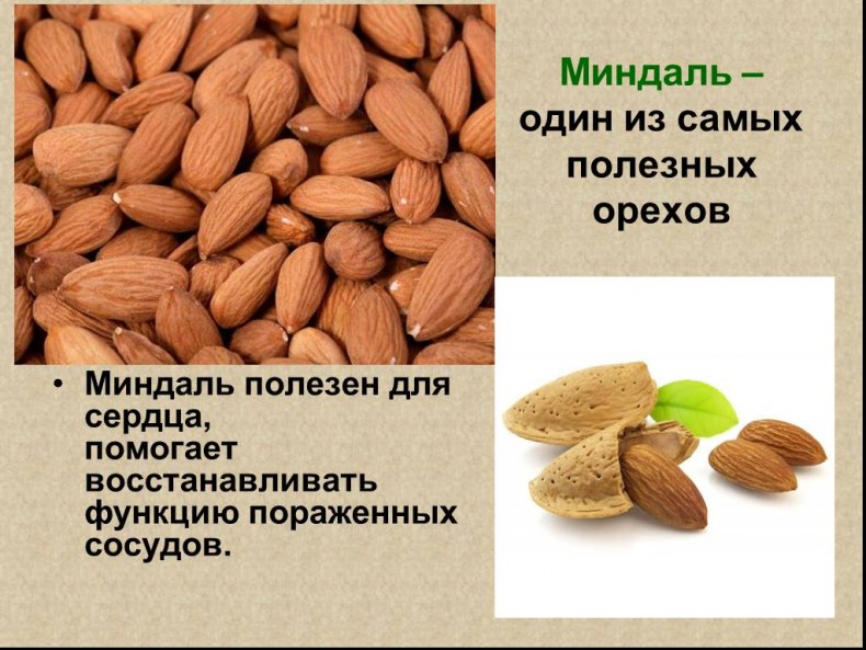 Миндаль: полезные свойства, вред и суточная норма потребления орехов, показания и противопоказания, калорийность