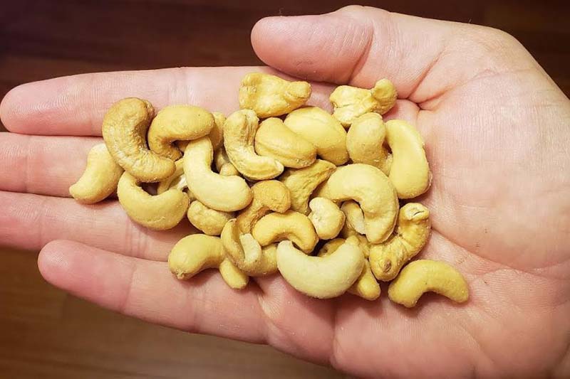 Орехи кешью польза и вред для организма и его применение
