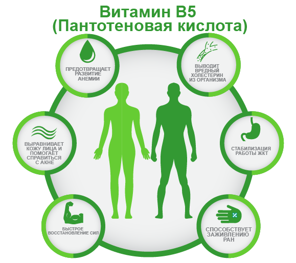 витамин B5 ифографика