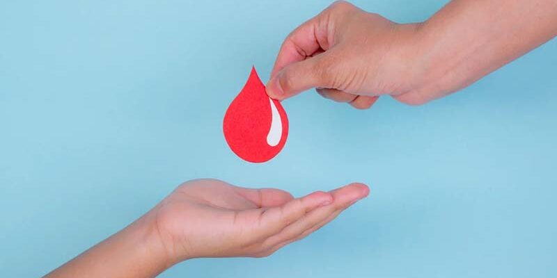Диета перед сдачей крови на донорство, что можно и нельзя есть